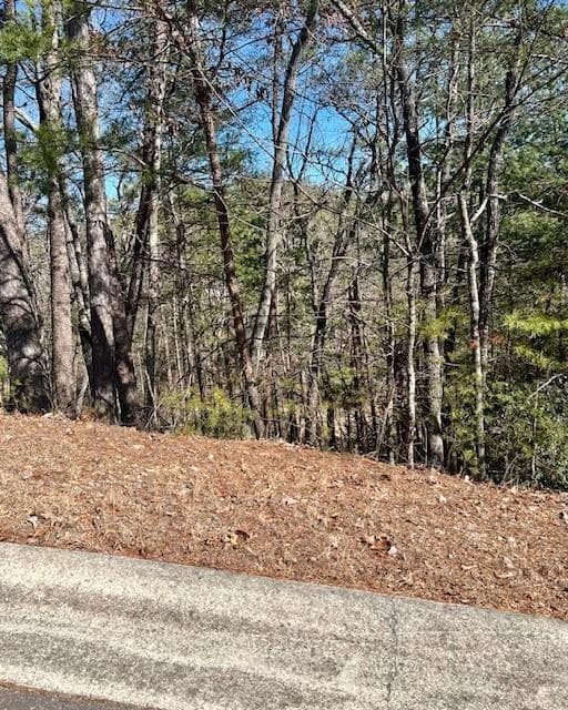 single family residence for sale at 0 Rosen Strasse, Helen, GA 30545
