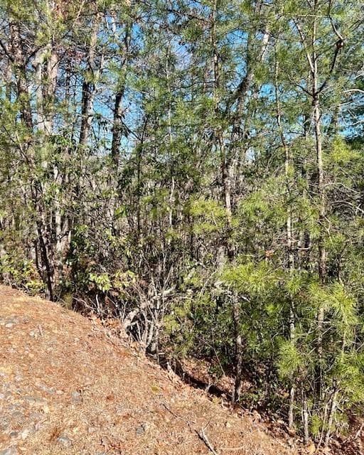 single family residence for sale at 0 Rosen Strasse, Helen, GA 30545 — photo 2