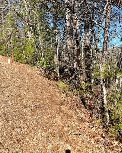 single family residence for sale at 0 Rosen Strasse, Helen, GA 30545 — photo 3