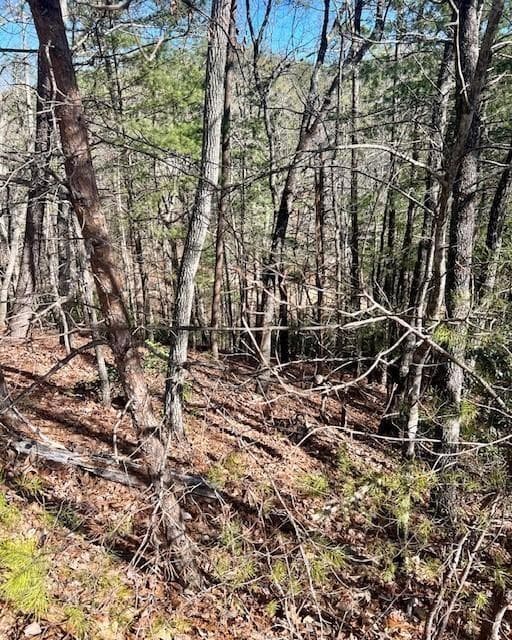 single family residence for sale at 0 Rosen Strasse, Helen, GA 30545 — photo 5
