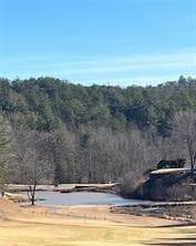 single family residence for sale at 0 Rosen Strasse, Helen, GA 30545 — photo 7