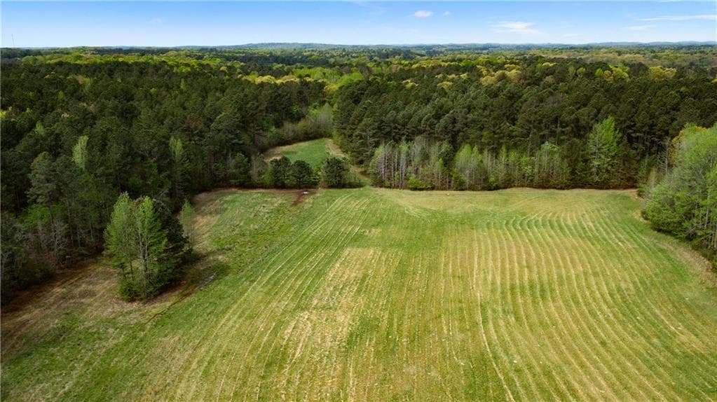 unimproved land for sale at 600 Taylorsville Road, Aragon, GA 30104 — photo 2