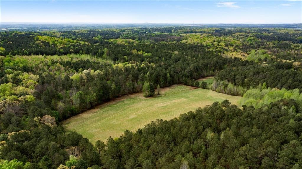 unimproved land for sale at 600 Taylorsville Road, Aragon, GA 30104 — photo 3