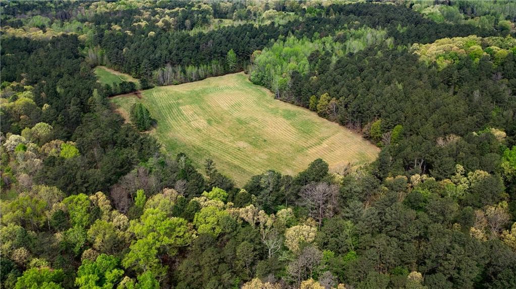 unimproved land for sale at 600 Taylorsville Road, Aragon, GA 30104 — photo 4