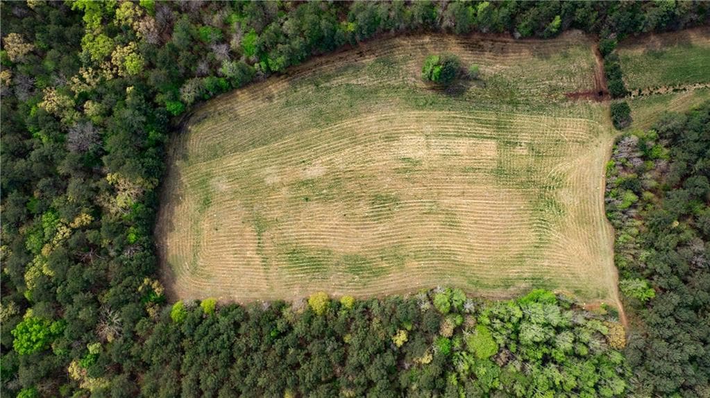 unimproved land for sale at 600 Taylorsville Road, Aragon, GA 30104 — photo 5