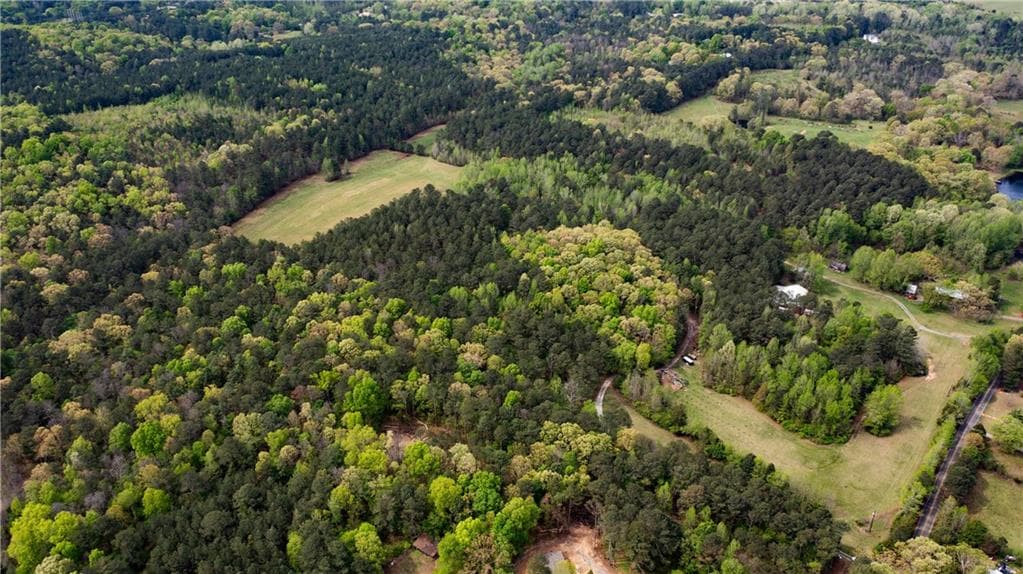 unimproved land for sale at 600 Taylorsville Road, Aragon, GA 30104 — photo 9