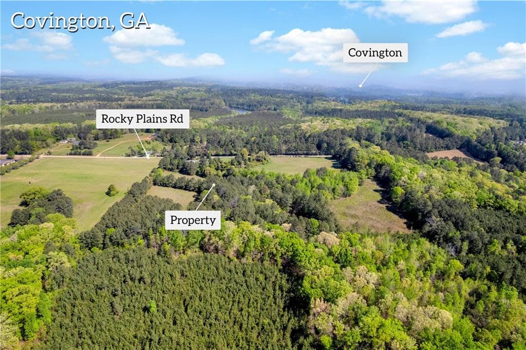 other under contract at 1025 Rocky Plains Road, Covington, GA 30016 — photo 3