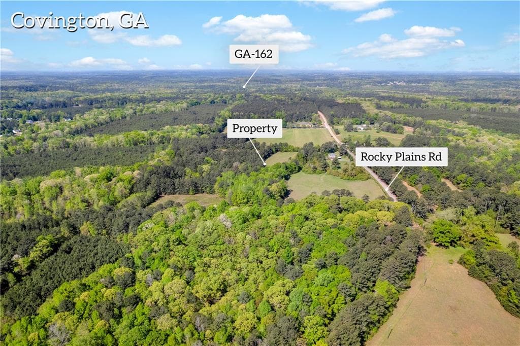 other under contract at 1025 Rocky Plains Road, Covington, GA 30016 — photo 4