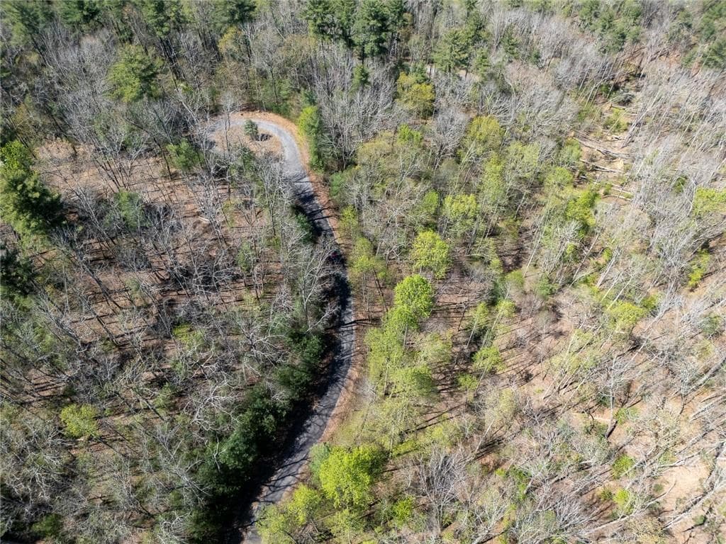other for sale at 0 Laurel Trail, Suches, GA 30572