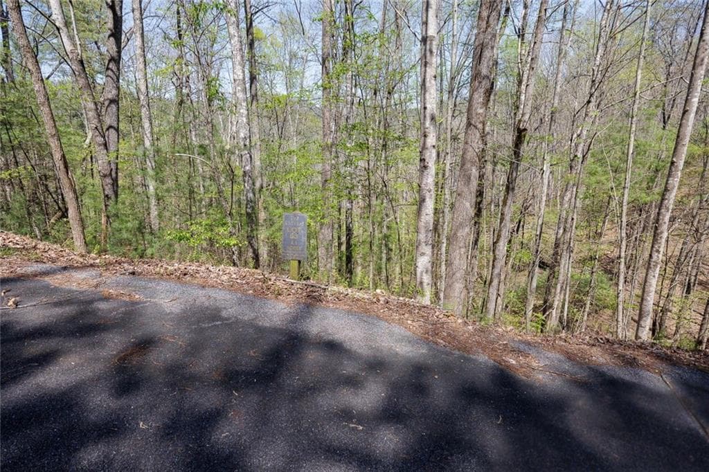other for sale at 0 Laurel Trail, Suches, GA 30572 — photo 2