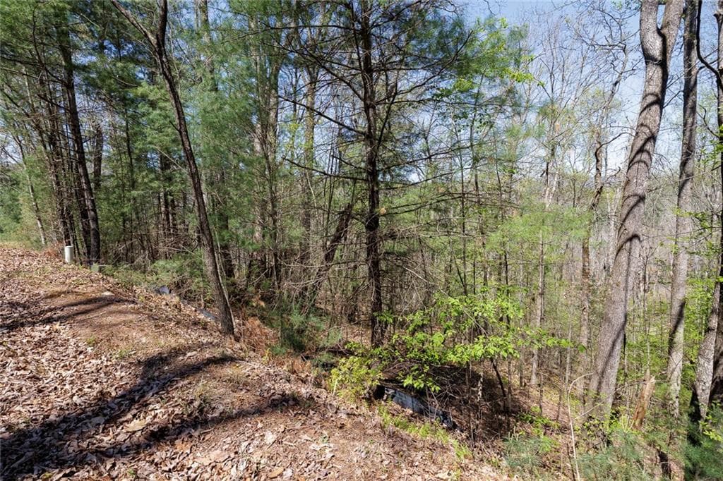 other for sale at 0 Laurel Trail, Suches, GA 30572 — photo 3