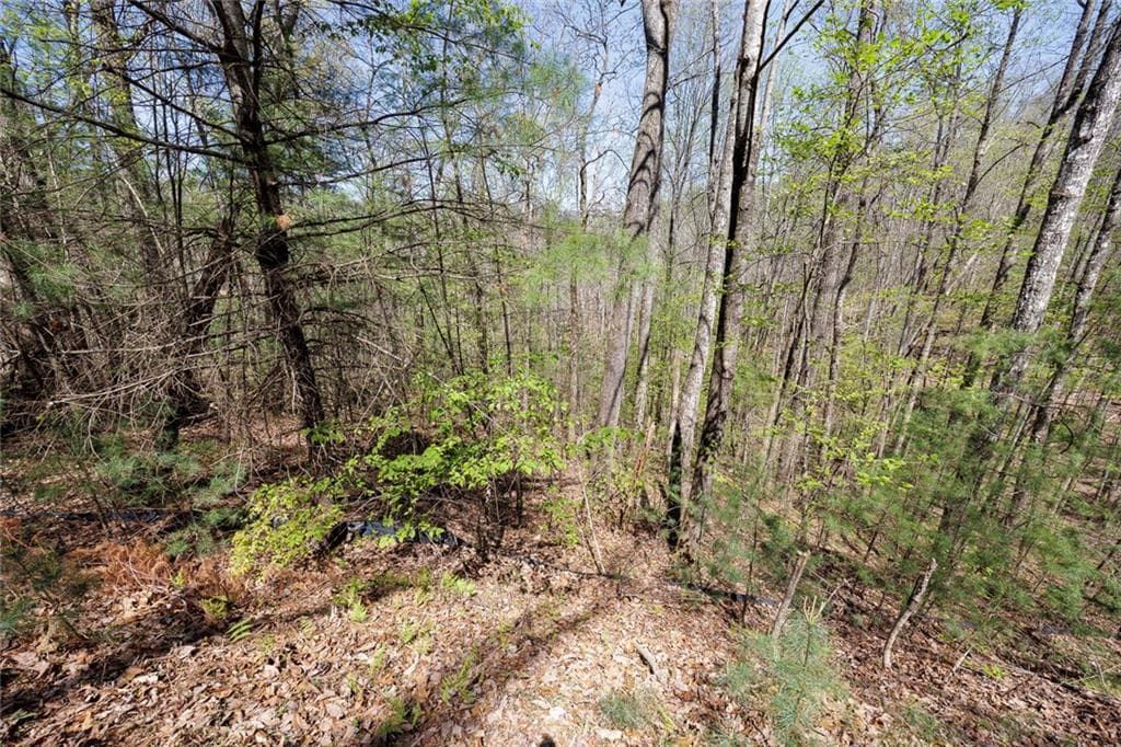 other for sale at 0 Laurel Trail, Suches, GA 30572 — photo 4