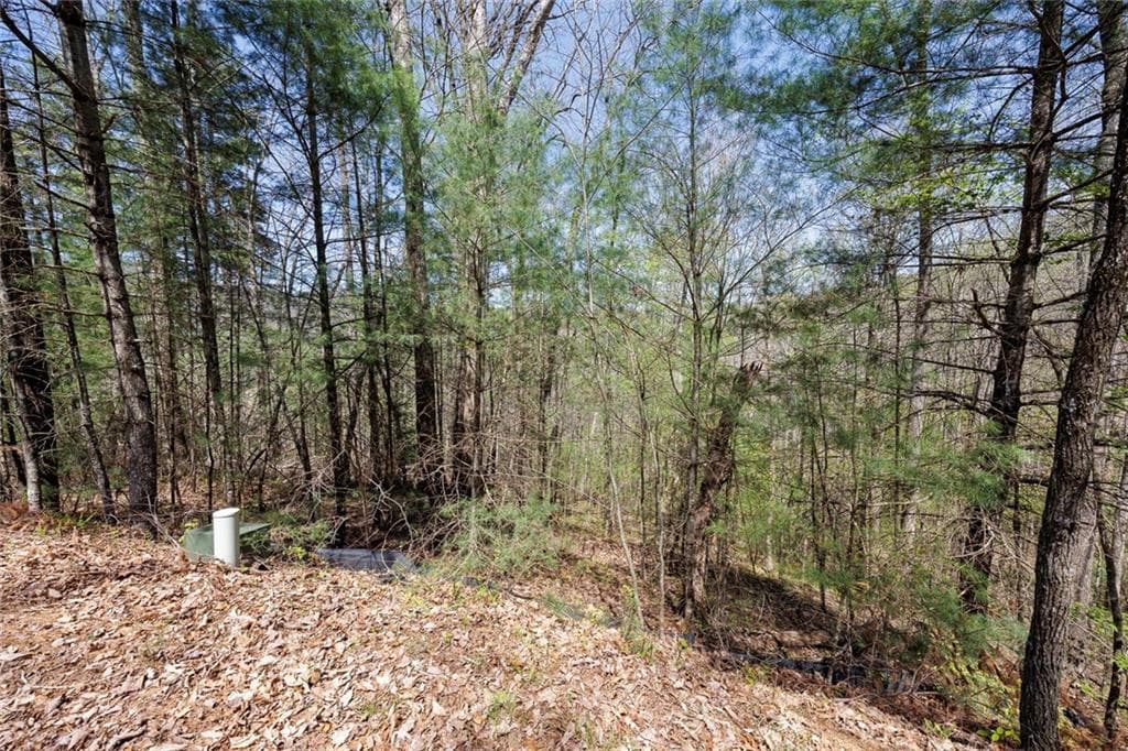 other for sale at 0 Laurel Trail, Suches, GA 30572 — photo 5