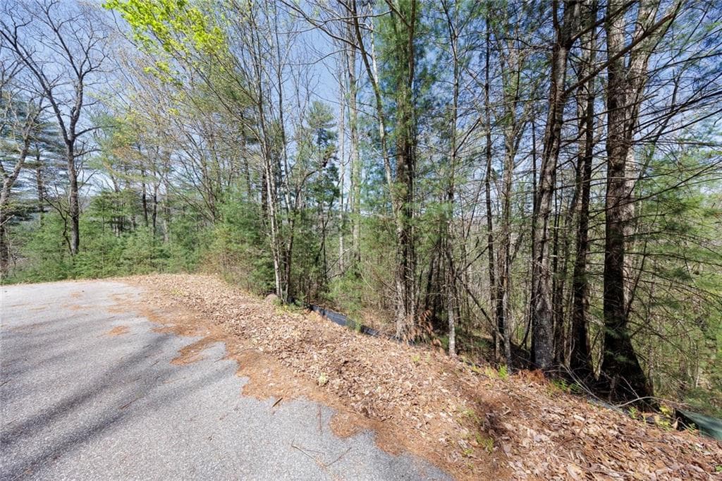 other for sale at 0 Laurel Trail, Suches, GA 30572 — photo 6