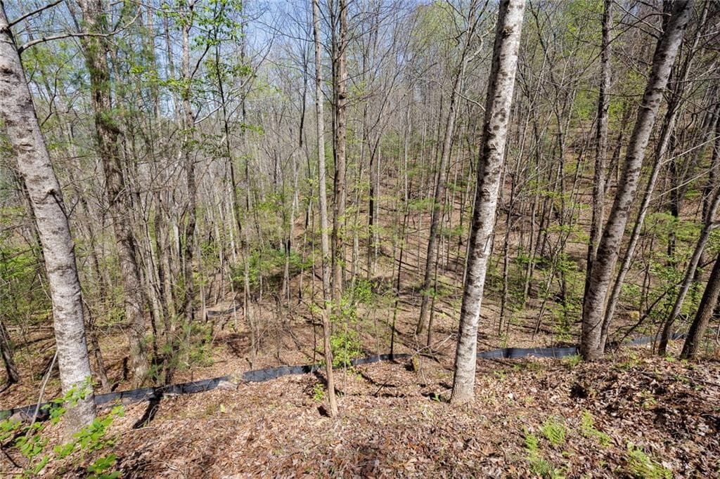 other for sale at 0 Laurel Trail, Suches, GA 30572 — photo 8