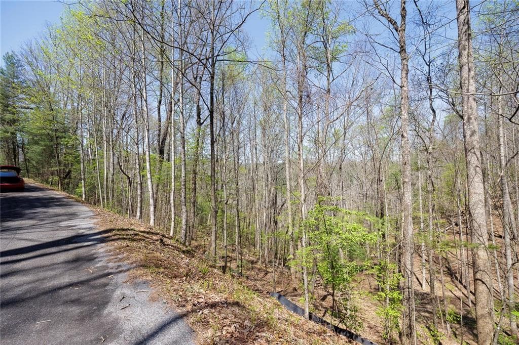 other for sale at 0 Laurel Trail, Suches, GA 30572 — photo 9