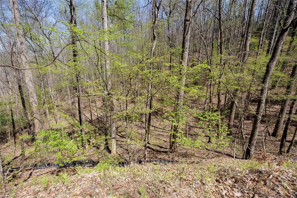 other for sale at 0 Laurel Trail, Suches, GA 30572 — photo 10