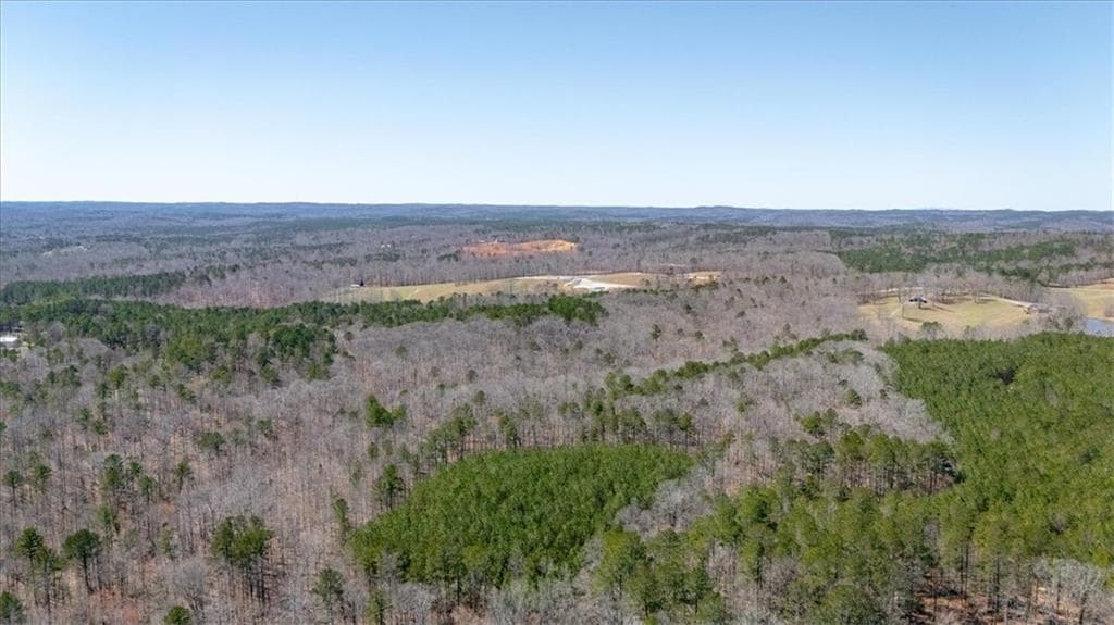 unimproved land for sale at 00 Snote Jones Road, Dallas, GA 30132 — photo 4