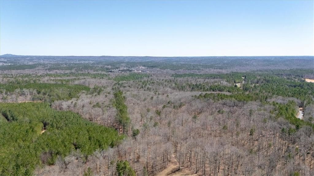 unimproved land for sale at 00 Snote Jones Road, Dallas, GA 30132 — photo 5