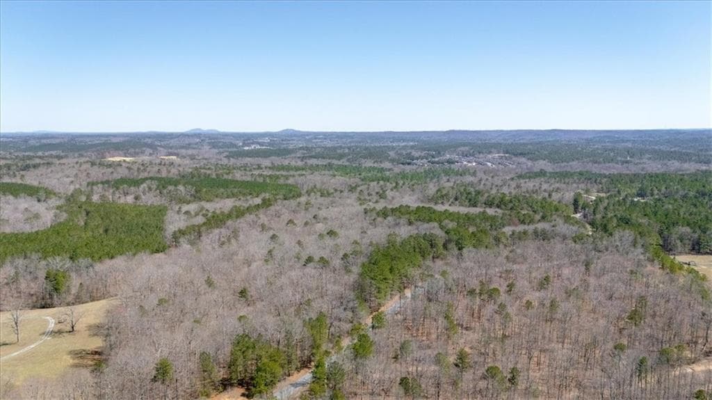 unimproved land for sale at 00 Snote Jones Road, Dallas, GA 30132 — photo 6