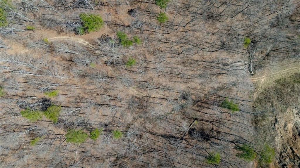 unimproved land for sale at 00 Snote Jones Road, Dallas, GA 30132 — photo 7