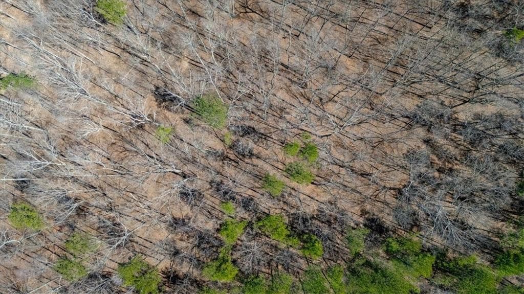 unimproved land for sale at 00 Snote Jones Road, Dallas, GA 30132 — photo 8