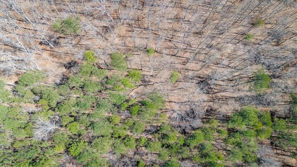 unimproved land for sale at 00 Snote Jones Road, Dallas, GA 30132 — photo 9
