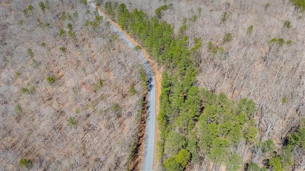 unimproved land for sale at 00 Snote Jones Road, Dallas, GA 30132 — photo 10