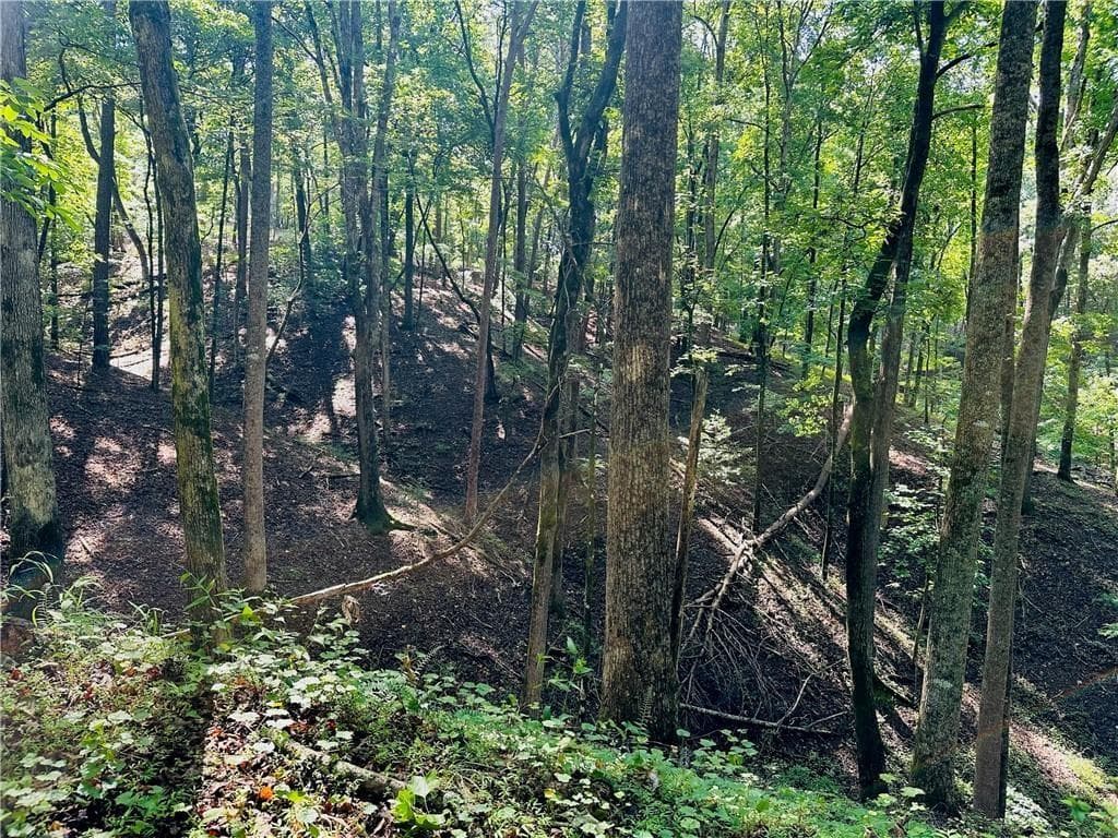 other sold at 7.123 Acres Halls Mill Road, Dahlonega, GA 30533