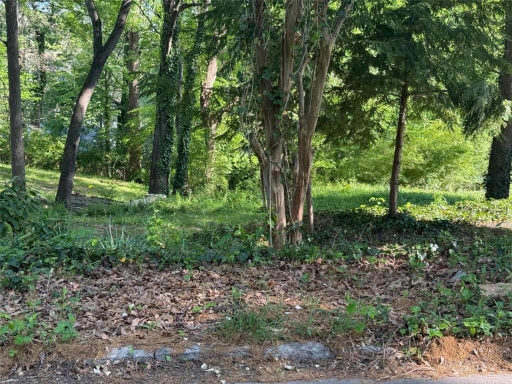 single family residence for sale at 2420 Claude Street, Atlanta, GA 30318 — photo 5