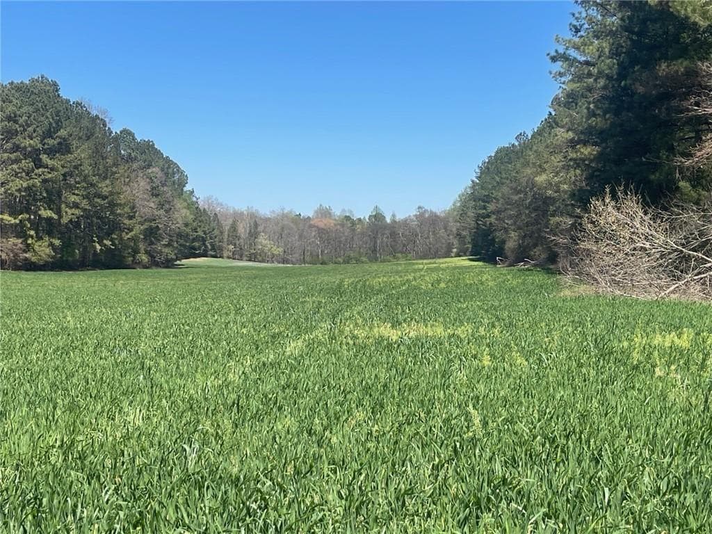 unimproved land for sale at 0-A Cleveland Highway, Cohutta, GA 30710 — photo 1 of 10