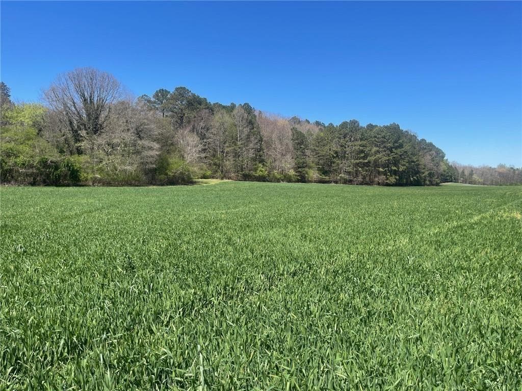 unimproved land for sale at 0-A Cleveland Highway, Cohutta, GA 30710 — photo 2
