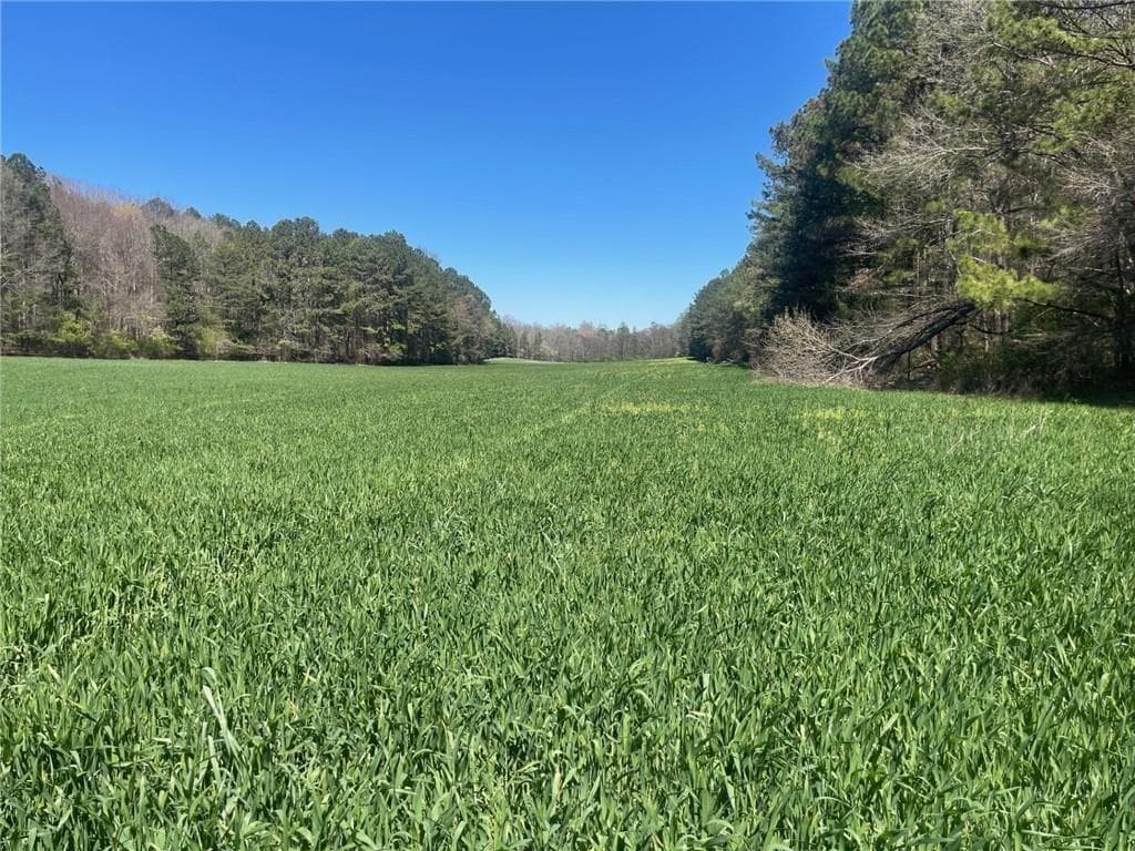 unimproved land for sale at 0-A Cleveland Highway, Cohutta, GA 30710 — photo 3