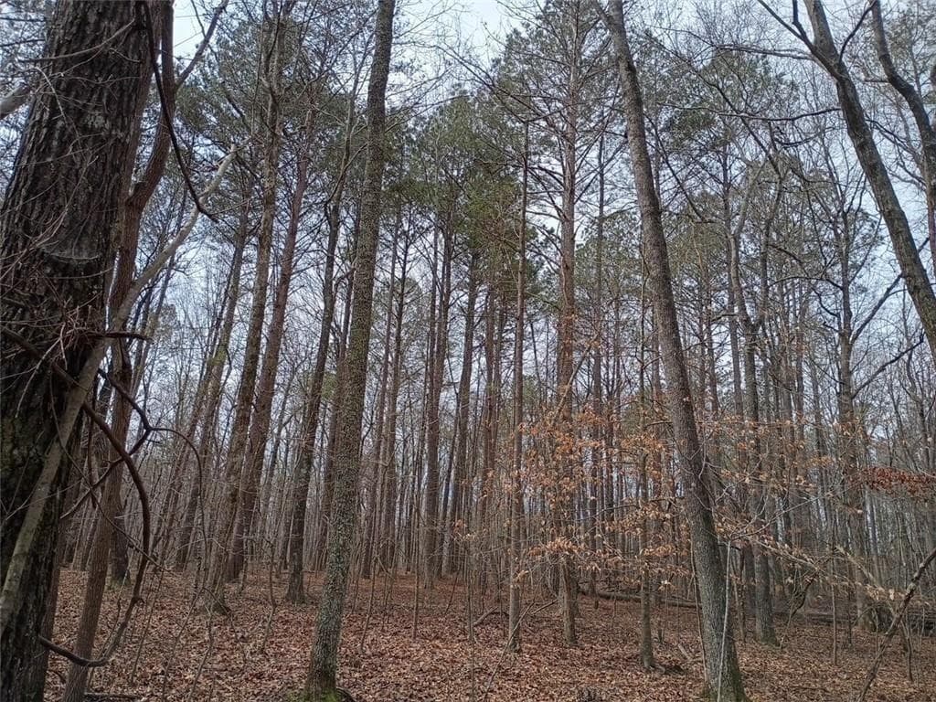 unimproved land for sale at 0-A Cleveland Highway, Cohutta, GA 30710 — photo 4