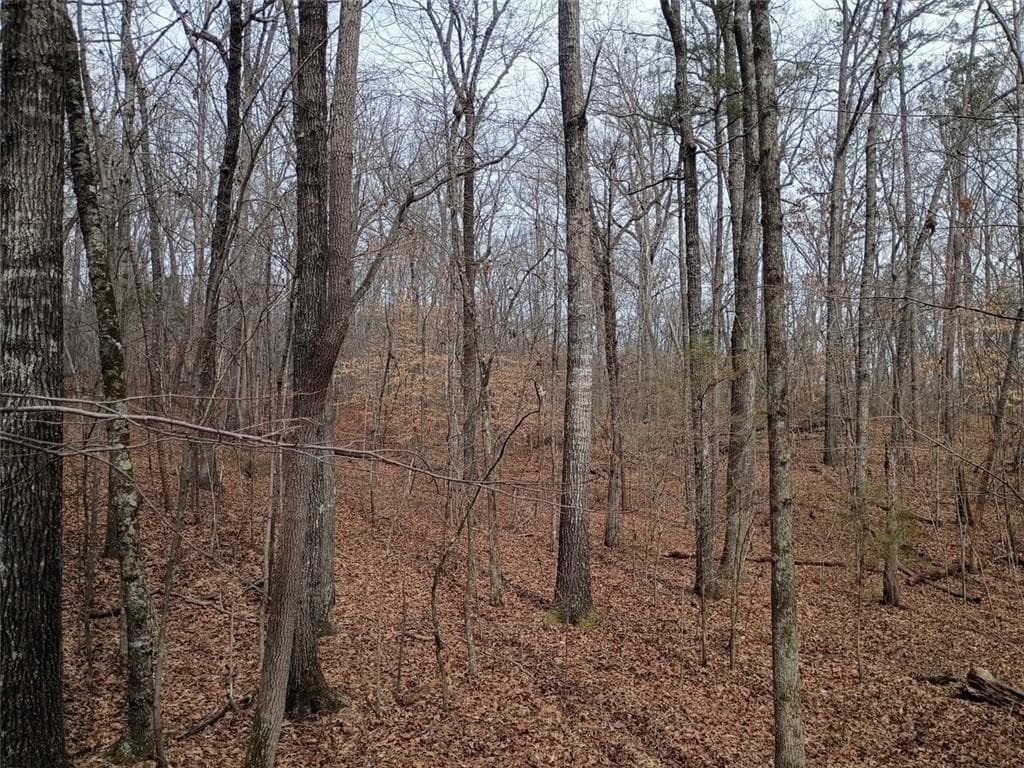 unimproved land for sale at 0-A Cleveland Highway, Cohutta, GA 30710 — photo 5