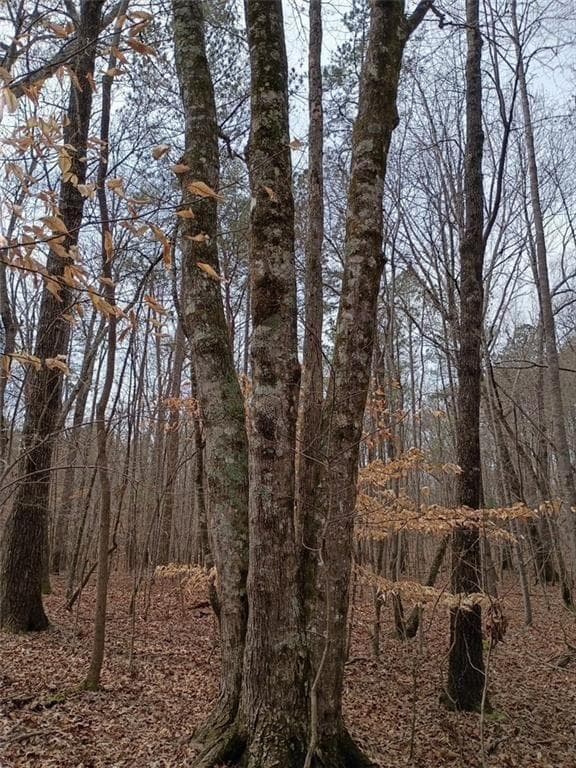 unimproved land for sale at 0-A Cleveland Highway, Cohutta, GA 30710 — photo 6