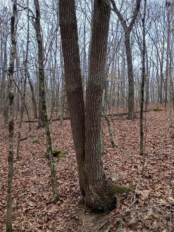 unimproved land for sale at 0-A Cleveland Highway, Cohutta, GA 30710 — photo 7