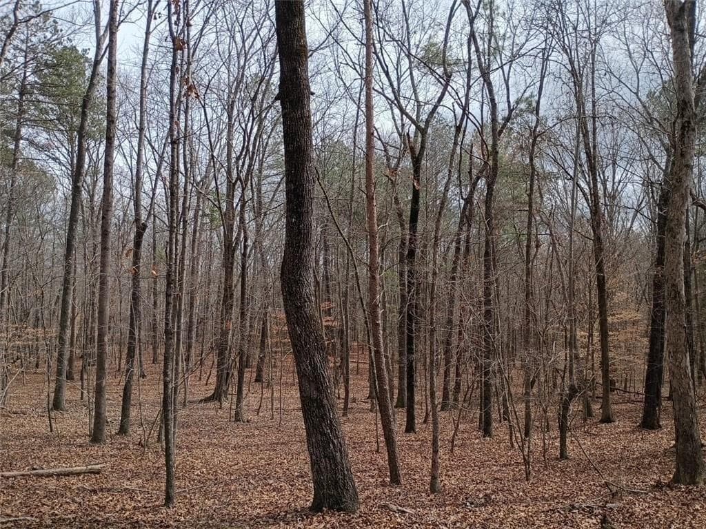 unimproved land for sale at 0-A Cleveland Highway, Cohutta, GA 30710 — photo 8