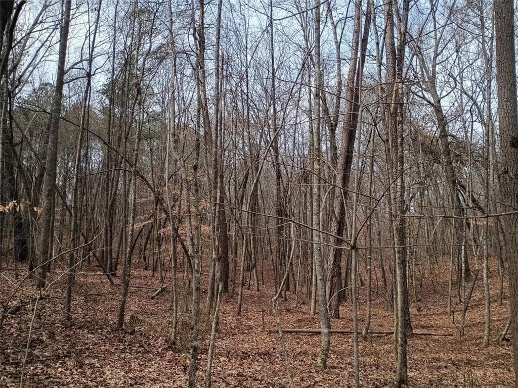 unimproved land for sale at 0-A Cleveland Highway, Cohutta, GA 30710 — photo 9