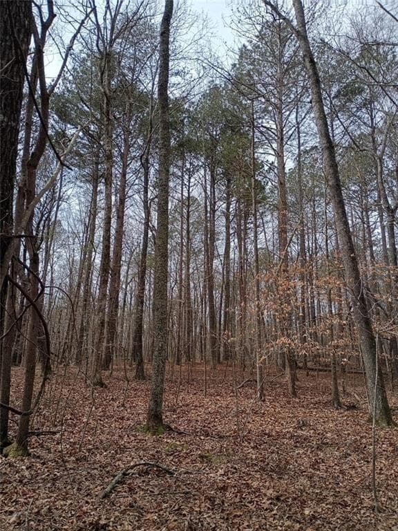 unimproved land for sale at 0-A Cleveland Highway, Cohutta, GA 30710 — photo 10