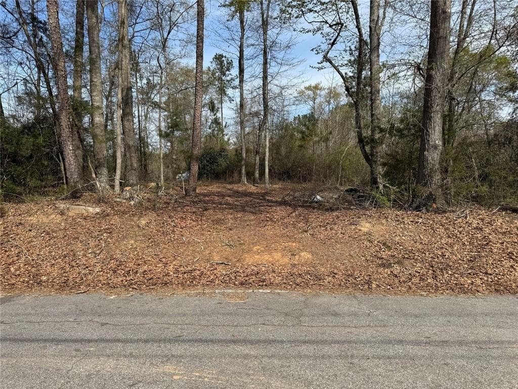 multi family for sale at 738 Old Mineral Springs, Elberton, GA 30635 — photo 3
