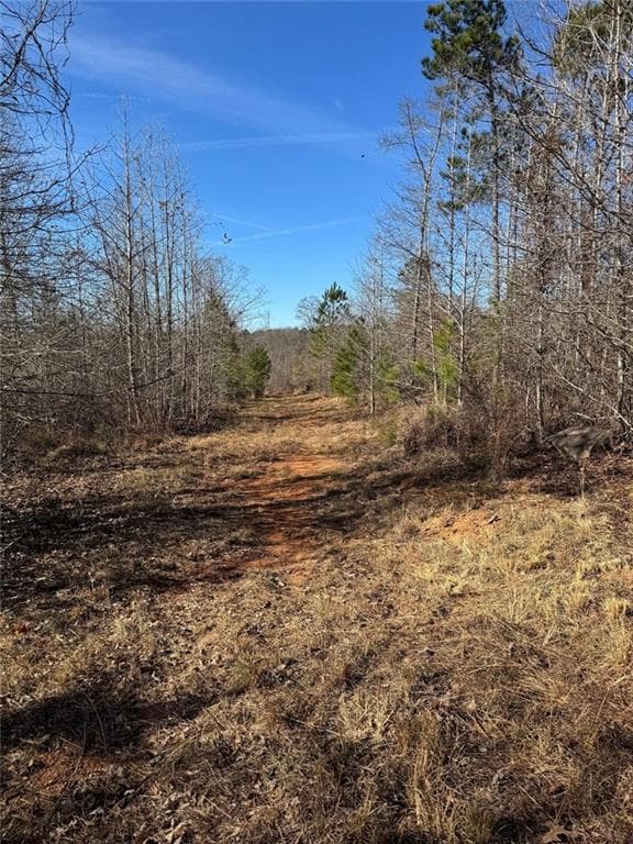 multi family for sale at 738 Old Mineral Springs, Elberton, GA 30635 — photo 5
