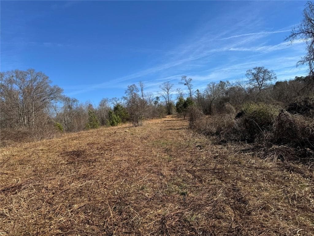 multi family for sale at 738 Old Mineral Springs, Elberton, GA 30635 — photo 6