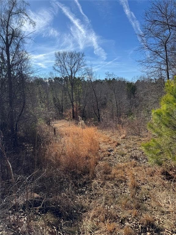 multi family for sale at 738 Old Mineral Springs, Elberton, GA 30635 — photo 8