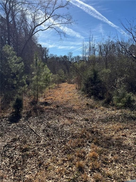 multi family for sale at 738 Old Mineral Springs, Elberton, GA 30635 — photo 9