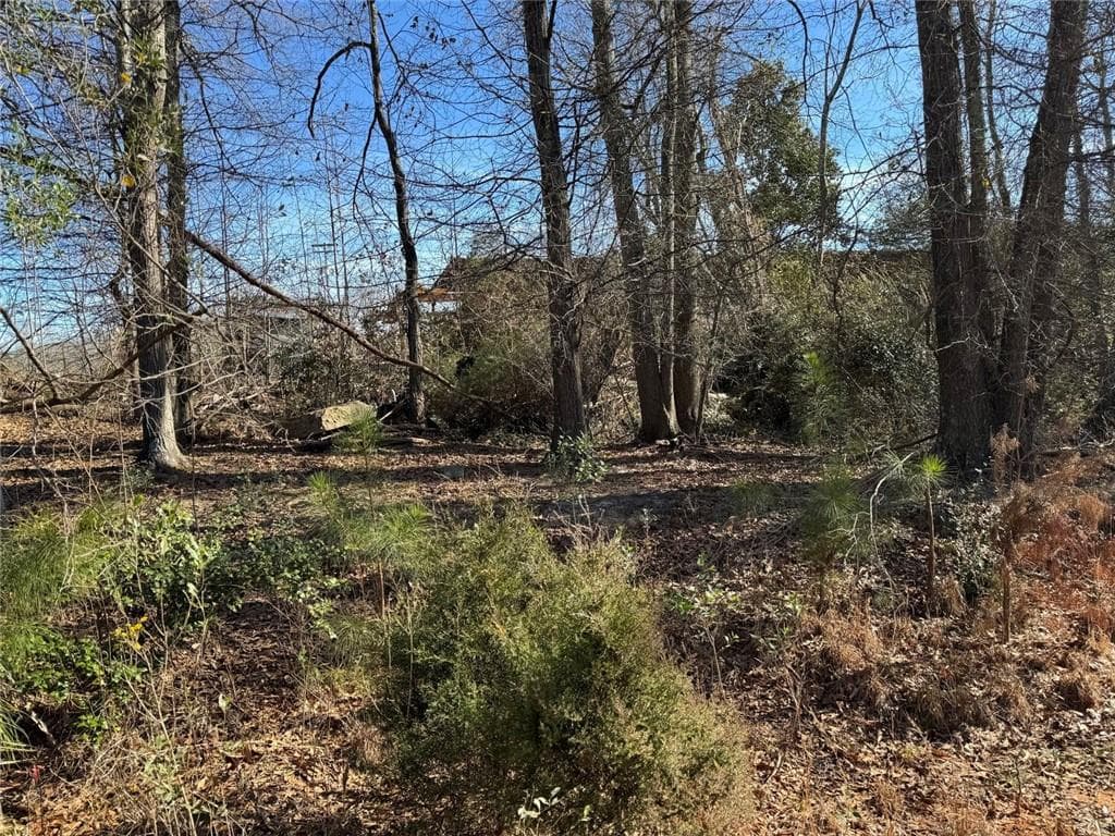 multi family for sale at 738 Old Mineral Springs, Elberton, GA 30635 — photo 10