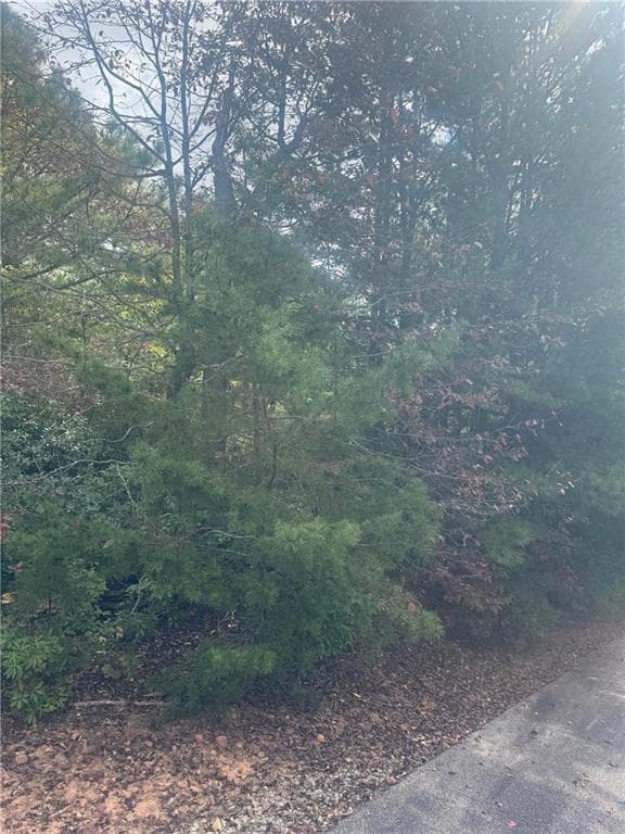 other for sale at Lot 16 Brown Hawk, Clayton, GA 30525 — photo 2