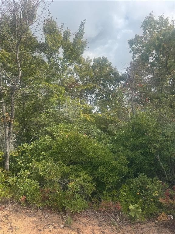 other for sale at Lot 16 Brown Hawk, Clayton, GA 30525 — photo 3