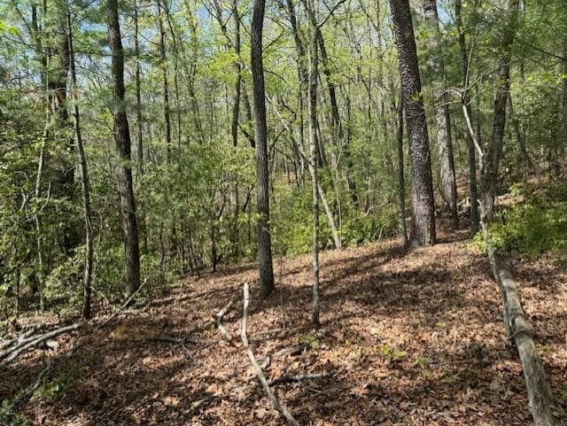 single family residence for sale at Lot 9 Marjorie Ave, Ellijay, GA 30536