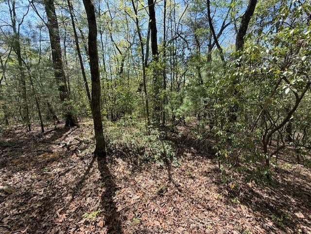 single family residence for sale at Lot 9 Marjorie Ave, Ellijay, GA 30536 — photo 2